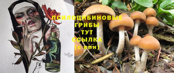 амф Карпинск