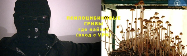 амф Карпинск