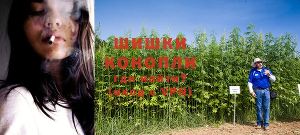 амф Карпинск