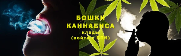 гидра Касимов