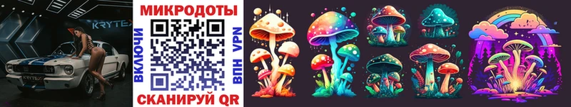 Псилоцибиновые грибы Psilocybe  Купить  Калининец 
