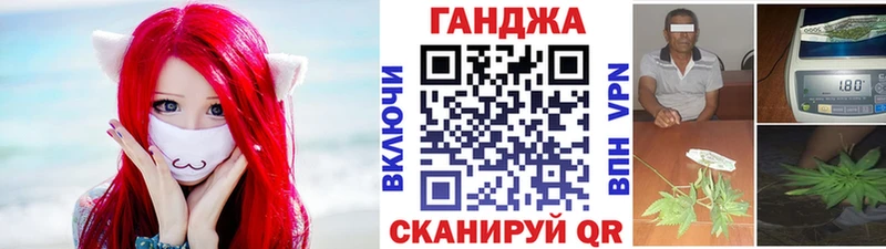 Купить где  Калининец  Каннабис индика 